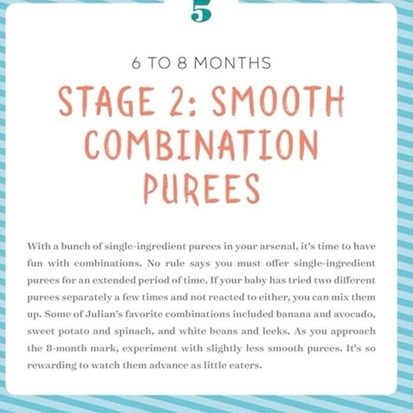 The Big Book of Organic Baby Food - Picture 3 of 16